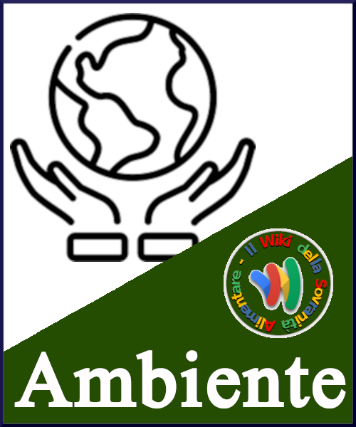File:Wiki-ambiente.png