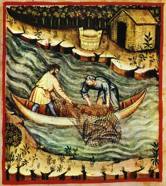 File:Taccuino-sanitatis-cassanatense.jpeg