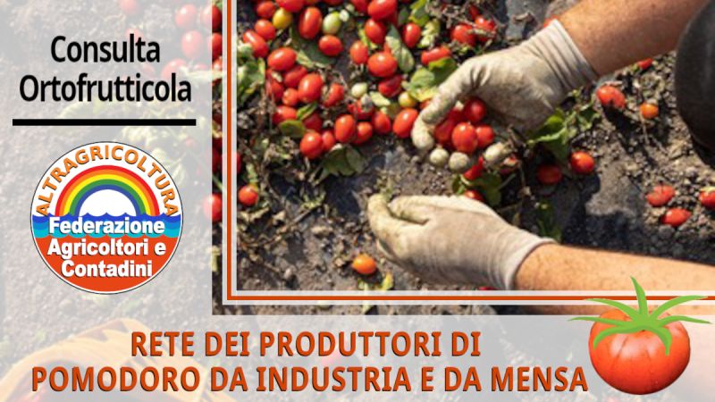 File:Rete-produttori-pomodoro.jpeg