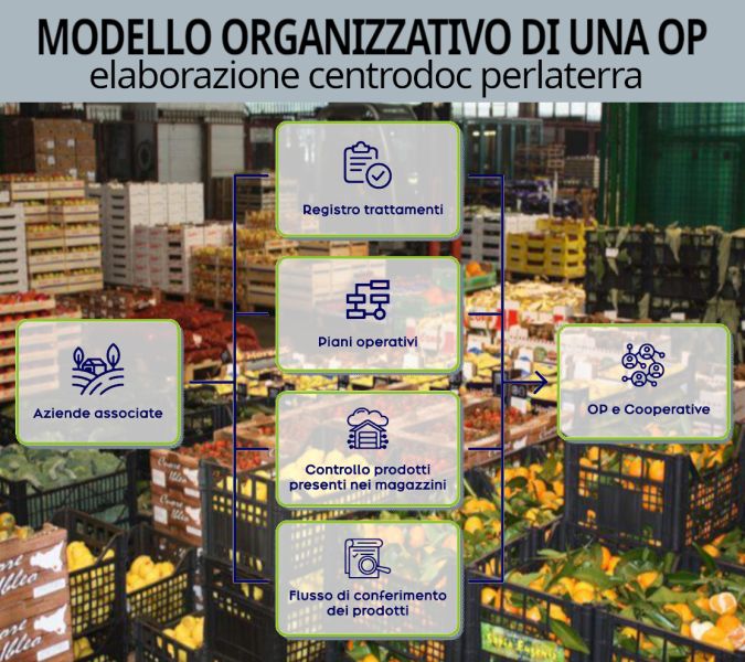 File:Cooperative-e-OP schema-operativo.jpg