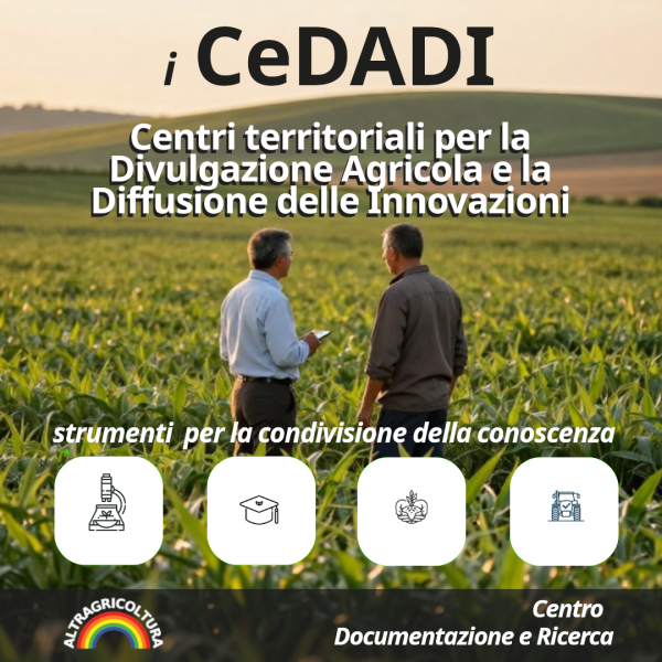 File:Foto-cedadi.png
