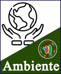 Banner Grafico Sezione "Ambiente"