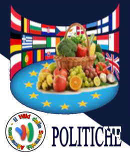 File:Wiki-politiche.png