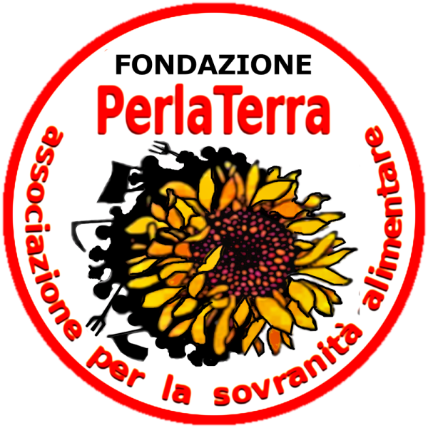 File:Logo-Fondazione-ASA.png