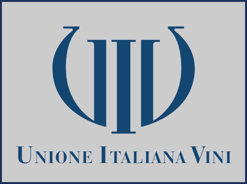 File:Logo UIV.jpg